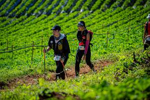 BIB: 
                            <button type="button" onclick="openModal(19162349)" class="btn btn-primary btn-sm float-right btn-popup" data-toggle="modal" data-target=".modal-high-quality">
                        <i class="fas fa-shopping-cart"></i> Add to Cart
                    </button>
                                            <button type="button" onclick="isThisMe(19162349, true)" class="btn btn-success btn-sm float-right btn-popup btn-isme hidden" data-toggle="tooltip" data-placement="bottom" title="นี่คือรูปของคุณใช่ไหม คลิกที่นี่เพื่อเอาเข้าอัลบั้ม">
                        <i class="fas fa-plus"></i> Add to album
                    </button>
                    <button type="button" onclick="isThisMe(19162349, false)" class="btn btn-warning btn-sm float-right btn-popup btn-isnotme hidden">
                        <i class="fas fa-ban"></i> Remove from album
                    </button>